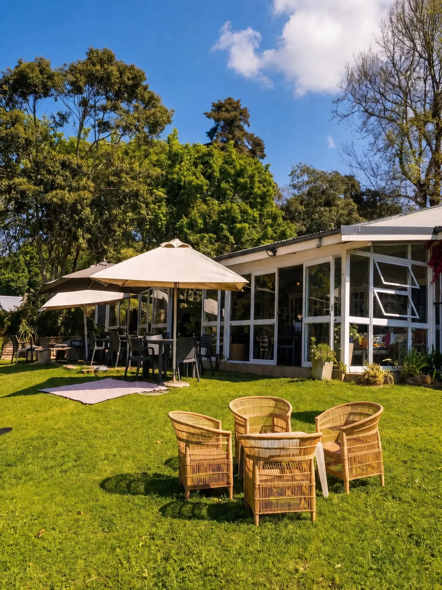 Cane chairs and a table under an umbrella on the lawn
